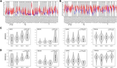 Systematic pan-cancer analysis on the expression and role of regulator of chromatin condensation 1/small nucleolar RNA host gene 3/small nucleolar RNA host gene 12